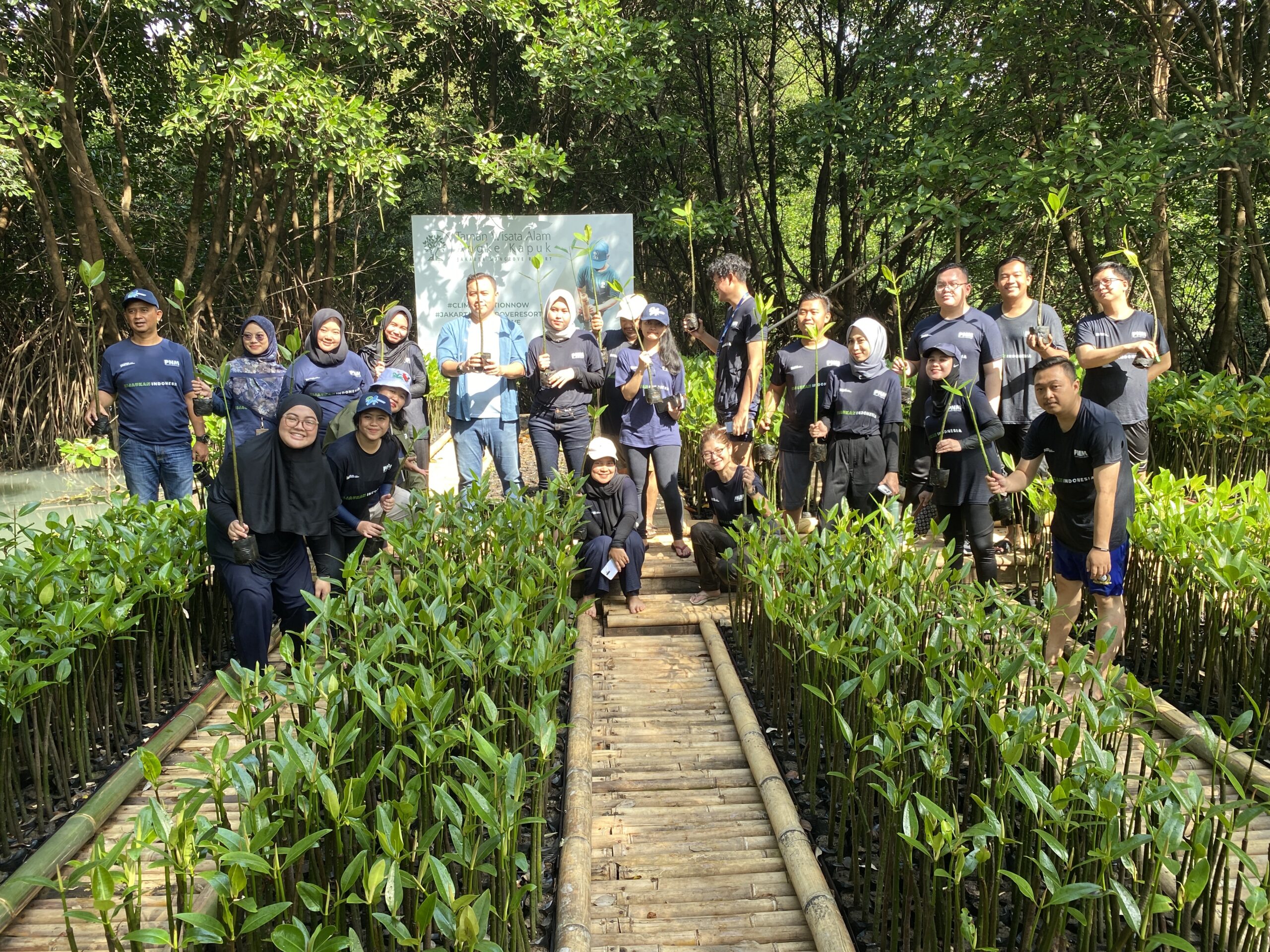 Peringati Hari Mangrove Sedunia, PNM Peduli Tanam 50.000 Pohon Mangrove untuk Tekan Bencana di Pesisir