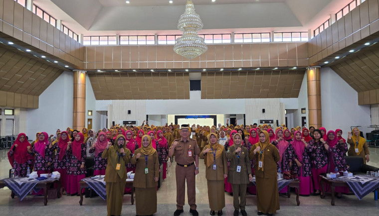 Dinkes Ingatkan Risiko Ibu Hamil