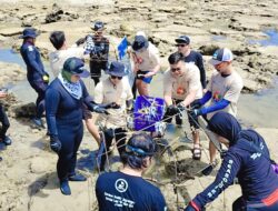 PNM Peduli Tanam Ribuan Pohon Mangrove dan Terumbu Karang di Kalimantan