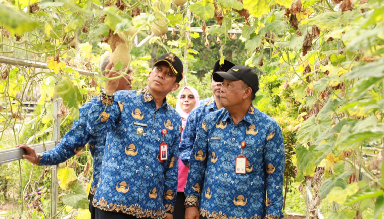 Pj Bupati Tangerang, Andi Ony, meninjau kegiatan budidaya hidroponik Kelompok Wanita Tani di wilayah Cisauk dan Pagedangan.