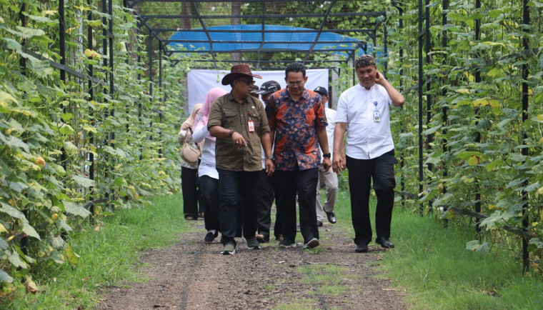 Dinas Pertanian Kabupaten Tangerang Monitoring Program Desa Mandiri Pangan di Desa Sodong