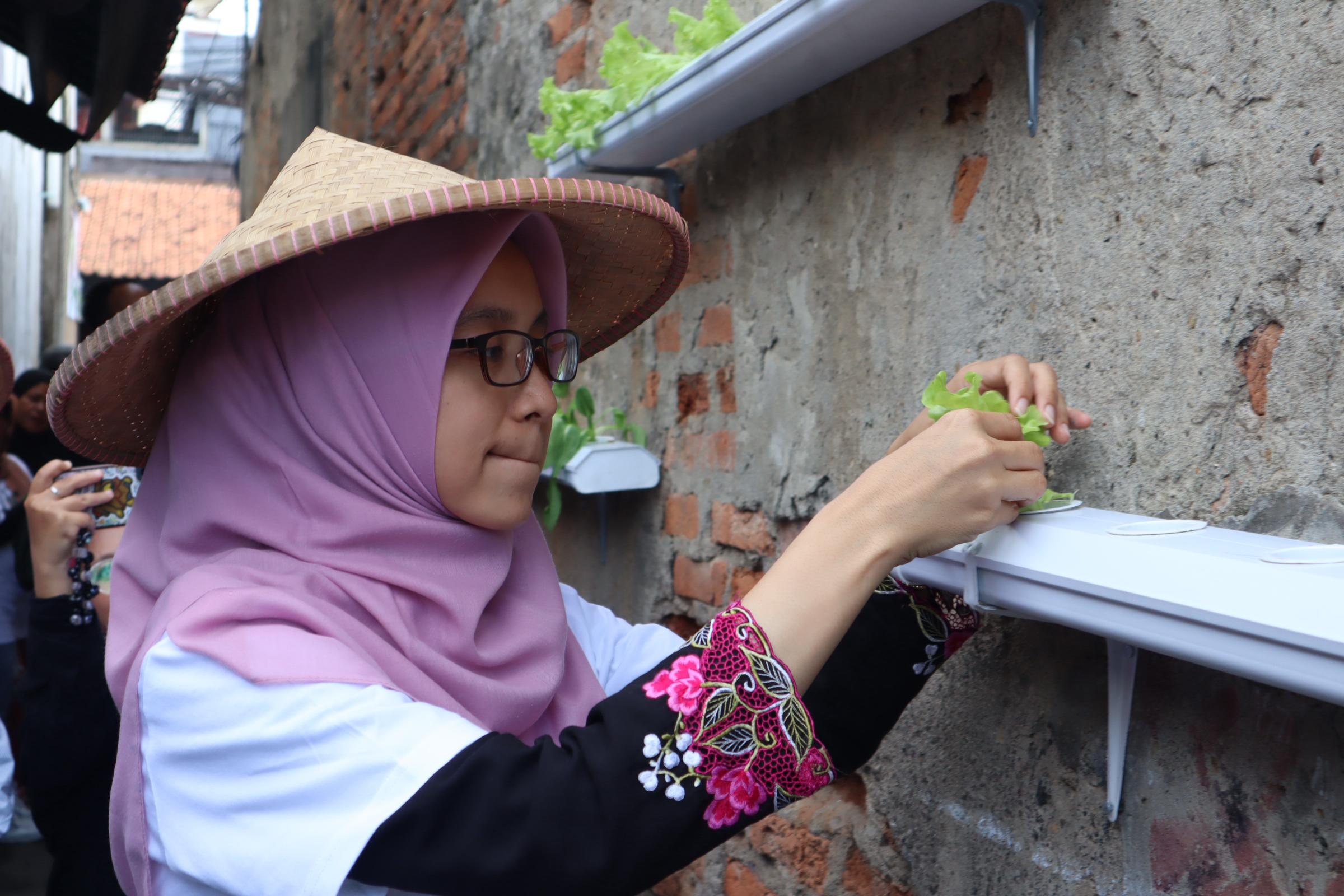 Urban Farming Lorong Mekaar, Langkah PNM Wujudkan Asta Cita Ketahanan Pangan
