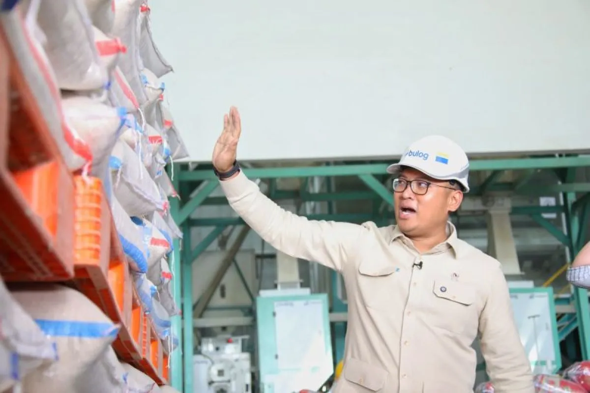 Stok cadangan beras pemerintah tembus 3,7 juta ton