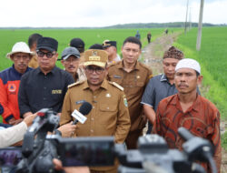 Gubernur Banten Andra Soni Tinjau Lokasi Program Jalan Usaha Tani