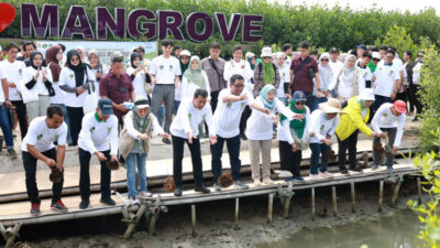 Bupati Tangerang, Moch Maesyal Rasyid, bersama FORHATI dan KAHMI, menanam 2.000 mangrove di Mauk untuk memperingati Hari Bumi 2025.