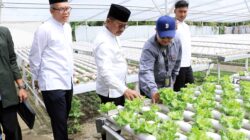 Wali Kota Tangerang, H. Sachrudin, meninjau TPU swadaya dan food estate di Poris Plawad Utara untuk mendorong partisipasi masyarakat.