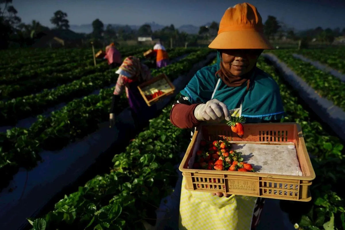 PT Bank Rakyat Indonesia (Persero) Tbk kembali merilis Indeks Bisnis UMKM untuk Q1-2025 dan proyeksi untuk Triwulan Q2-2025, di mana hasilnya menunjukkan bahwa pertumbuhan bisnis UMKM kian membaik.