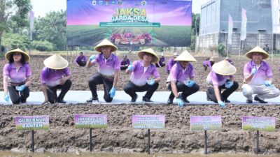 Inovasi teknologi Jaga Desa Kejagung tingkatkan produksi bawang-cabai di Banten, dukung swasembada pangan dengan kolaborasi strategis