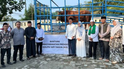 Pemkab Pandeglang menerima sapi kurban dari Presiden Prabowo Subianto. Wakil Bupati Iing Andri Supriadi mengucapkan terima kasih.