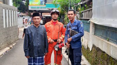 Laporan adanya ular di rumah warga Ciputat Timur, Tangsel, ternyata fiktif. Damkar Tangsel dikerjai demi kepentingan pribadi penagihan utang.
