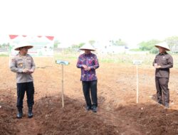 Tanam Jagung Hibrida, Bupati Tangerang Nyatakan Komitmen Wujudkan Ketahanan Pangan