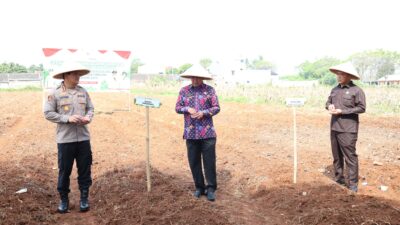 Bupati Tangerang bersama Unsur Forkopimda, melaksanakan penanaman jagung hibrida sebagai bagian dari upaya swasembada pangan.