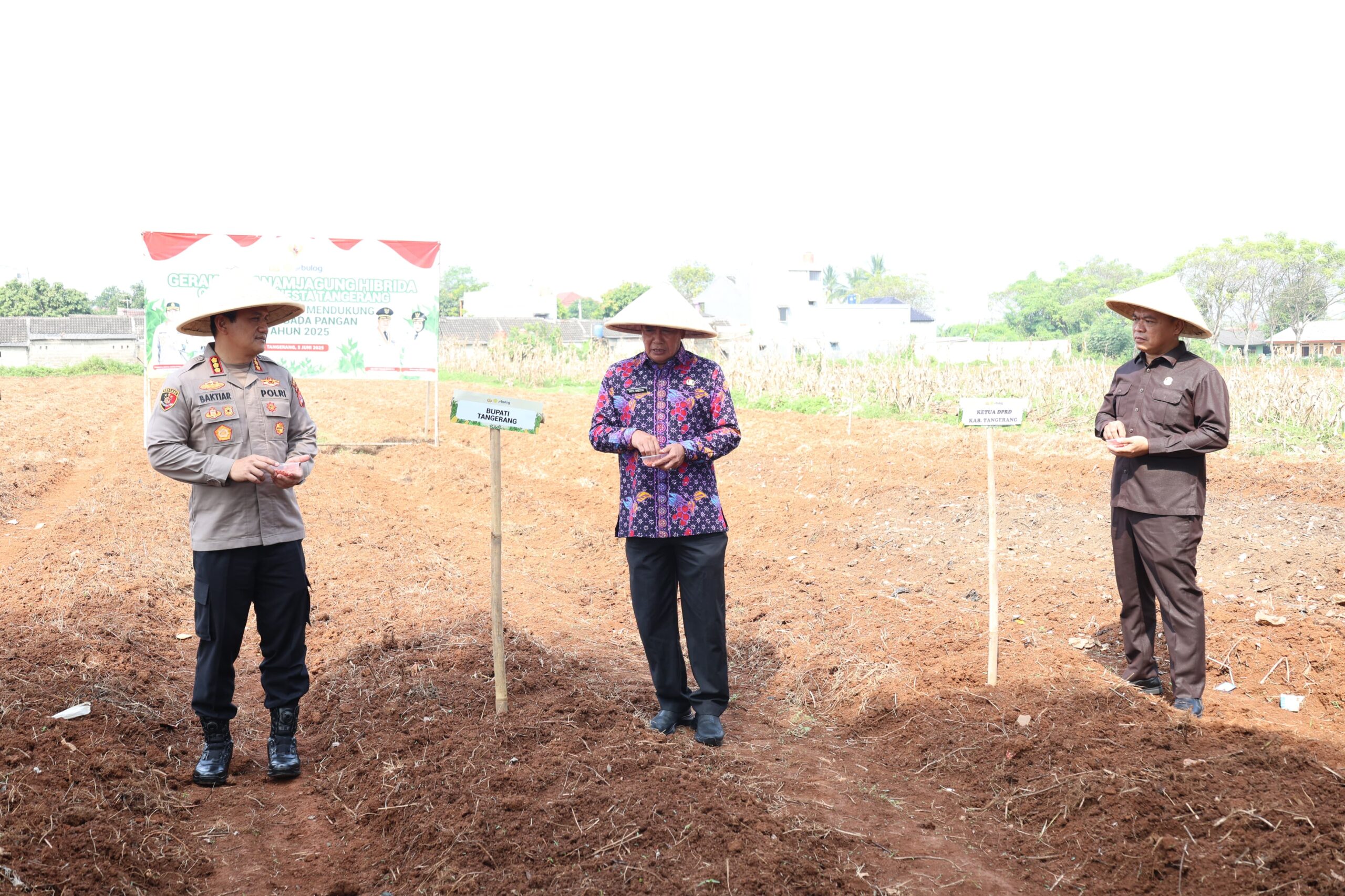 Bupati Tangerang bersama Unsur Forkopimda, melaksanakan penanaman jagung hibrida sebagai bagian dari upaya swasembada pangan.