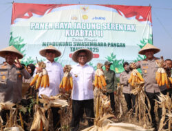 Ketahanan Pangan, Pemprov Banten Tingkatkan Produksi Tanaman Jagung