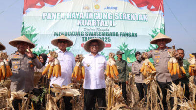 Ketahanan Pangan, Pemprov Banten Tingkatkan Produksi Tanaman Jagung