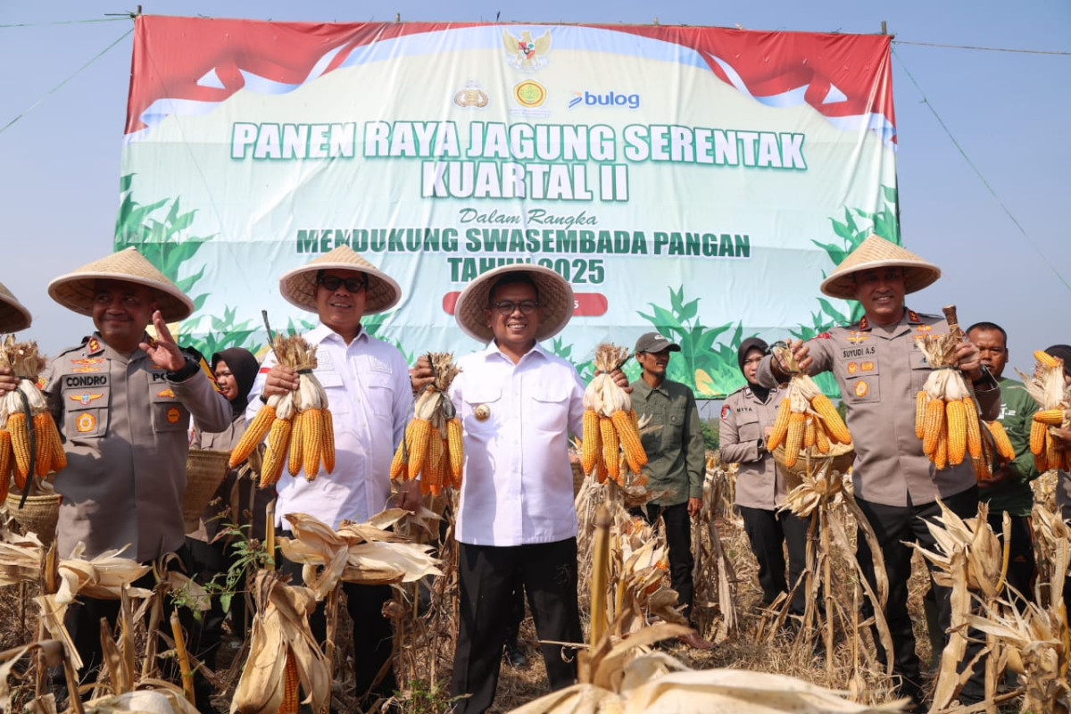 Gubernur Banten, Andra Soni berkomitmen terus meningkatkan ketahanan pangan Provinsi Banten. Salah satunya peningkatan produksi tanaman jagung secara berkelanjutan.