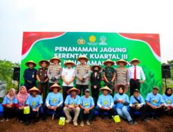 Dukung Program Prabowo, Pilar Saga dan Polda Metro Jaya Tanam Jagung di Lahan Eduwisata Serpong