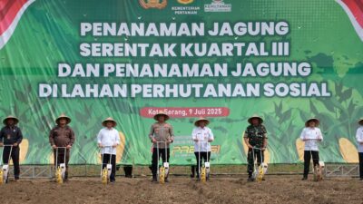 Polda Banten tanam jagung serentak kuartal III di lahan perhutanan sosial, dukung ketahanan pangan bersama Pemprov dan masyarakat.