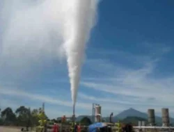 PGE berkolaborasi dengan PLN IP percepat transisi energi bersih