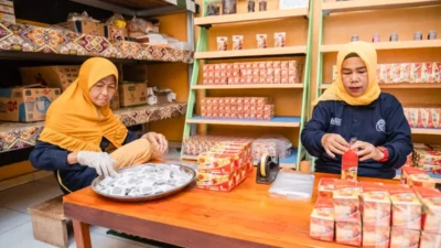 Bukit Asam, PTBA, BASIC,