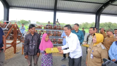 Gerakan ayam petelur mandiri (Gayatri) di Kabupaten Bojonegoro mendapatkan dukungan dari SKK Migas melalui ExxonMobil Cepu Limited (EMCL).