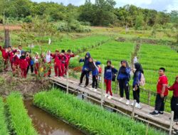 Pertamina Kembangkan 110 Inovasi lewat Program PFmuda