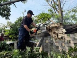Kota Tangerang Normal Kembali Usai Hujan Deras, 12 Pohon Tumbang dan 6 Titik Banjir Teratasi