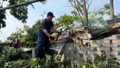 BPBD Kota Tangerang tangani banjir dan pohon tumbang akibat hujan deras. Kondisi kini berangsur pulih, warga kembali beraktivitas.