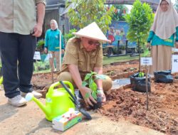 Gerakan Tanam Cabai di Tangsel, Strategi Sederhana Hadapi Lonjakan Harga Pangan