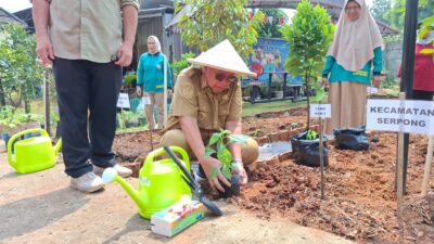 Pemkot Tangsel galakkan gerakan tanam cabai dan terong untuk jaga ketahanan pangan serta tekan inflasi harga kebutuhan pokok.