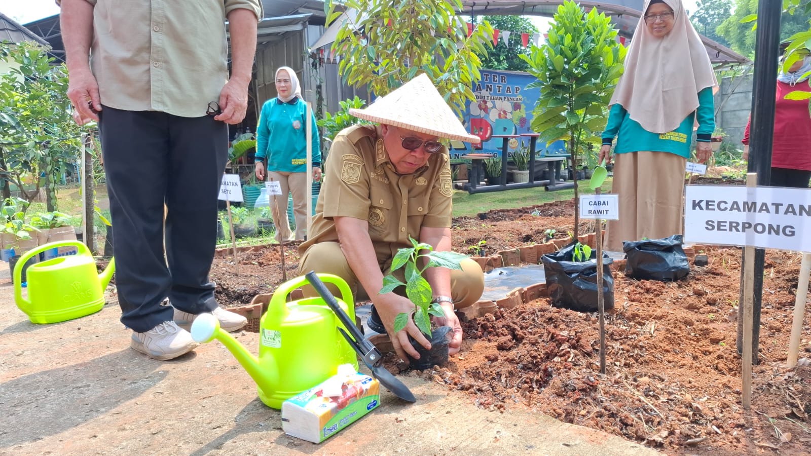 Gerakan Tanam Cabai di Tangsel, Strategi Sederhana Hadapi Lonjakan Harga Pangan