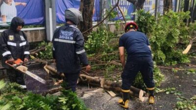 Hujan deras disertai angin kencang di Kota Tangerang sebabkan pohon tumbang di tiga kecamatan, rusak kendaraan, dan ganggu lalu lintas.