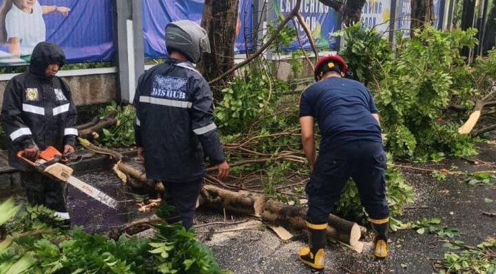 Hujan deras disertai angin kencang di Kota Tangerang sebabkan pohon tumbang di tiga kecamatan, rusak kendaraan, dan ganggu lalu lintas.