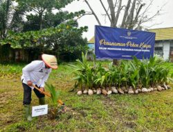 Gotong Royong Hijaukan Lahan, Kanwil Ditjenim Jambi Tanam Ribuan Pohon Kelapa di Lapas Kuala Tungkal