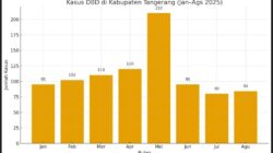 Lonjakan kasus DBD di Kabupaten Tangerang capai 896 kasus dengan satu kematian. Dinkes imbau masyarakat terapkan 3M Plus cegah penyebaran.