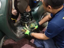 Aksi Dramatis Damkar Tangsel Selamatkan Motor Warga dari Ular Sanca 1,5 Meter