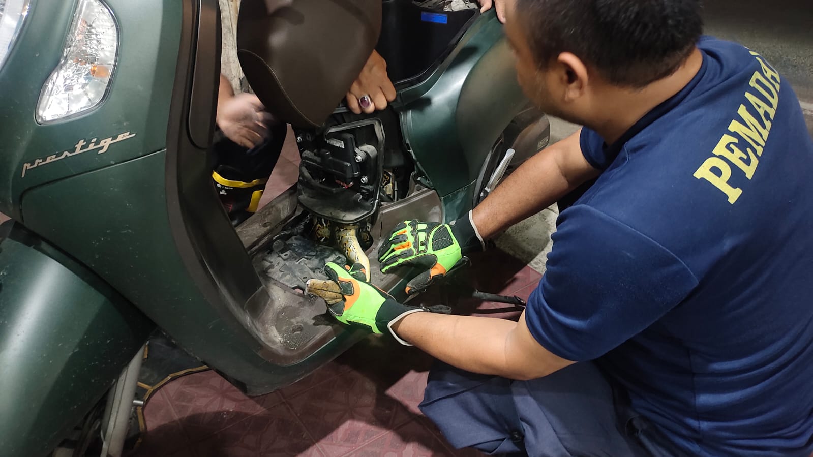 Aksi Dramatis Damkar Tangsel Selamatkan Motor Warga dari Ular Sanca 1,5 Meter