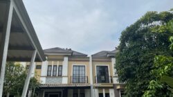 Monyet Liar Serbu Perumahan di Serpong, Warga Diminta Waspada dan Tutup Jendela