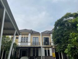 Monyet Liar Serbu Perumahan di Serpong, Warga Diminta Waspada dan Tutup Jendela