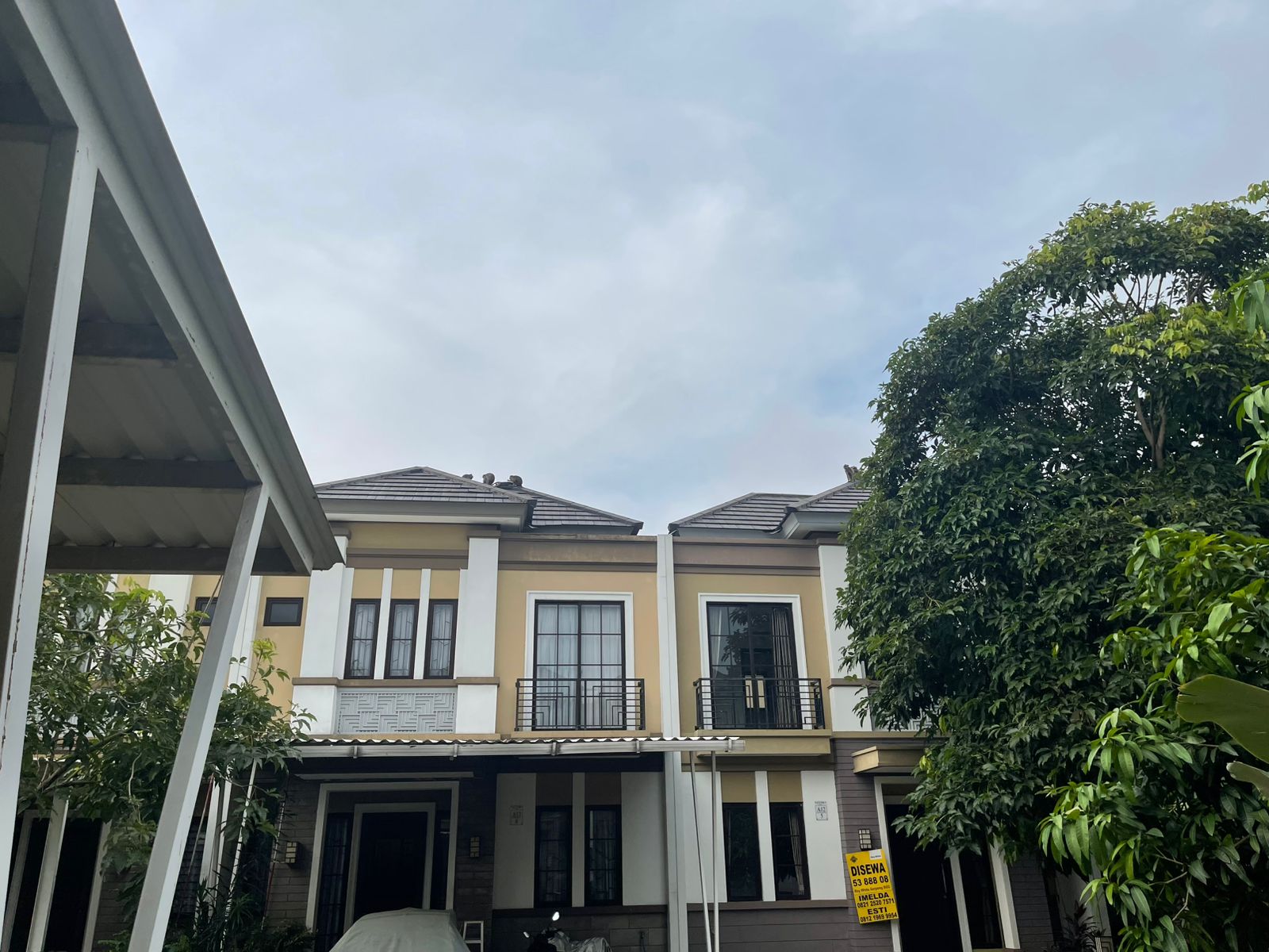 Warga Savia Ciater, Serpong, dibuat resah oleh kemunculan 10 monyet liar yang masuk ke perumahan. Camat minta warga waspada.