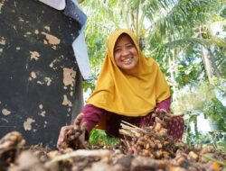 Tak Berjubah, Tapi Berjuang: Ibu-Ibu Mekaar, Pahlawan Ekonomi Keluarga Indonesia