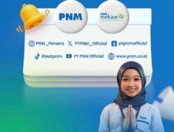 Muncul Penipuan Pembiayaan Mekaar Digital, PNM Imbau Masyarakat Lebih Waspada