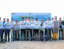Konservasi Pesisir Banten: Gubernur Serukan Penanaman Mangrove yang Tepat dan Terpantau