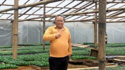 Kisah Sukses Nasabah ULaMM Syariah: Memberdayakan Usaha Mikro dan Menciptakan Ekosistem Ekonomi Berkelanjutan untuk Ketahanan Pangan