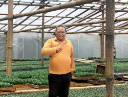 Kisah Sukses Nasabah ULaMM Syariah: Memberdayakan Usaha Mikro dan Menciptakan Ekosistem Ekonomi Berkelanjutan untuk Ketahanan Pangan