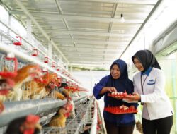 Ketahanan Pangan Berbasis Komunitas, Strategi PNM Perkuat Gizi Masyarakat