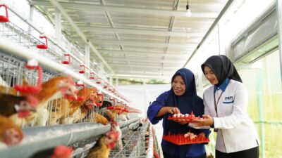 Ketahanan Pangan Berbasis Komunitas, Strategi PNM Perkuat Gizi Masyarakat