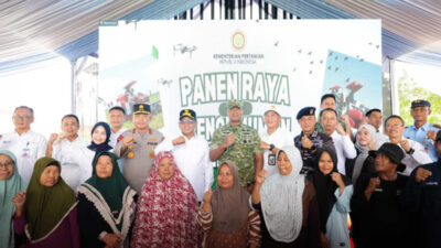 Produksi padi Banten 2025 naik 16,84 persen seiring perluasan lahan panen dan dukungan kebijakan pemerintah pusat.