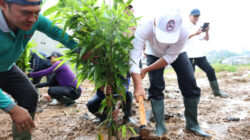 RTH Bambu Cisoka Dimulai, Bupati Tangerang Dorong Ruang Publik Hijau dan Ekonomi Kreatif