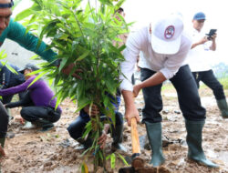 RTH Bambu Cisoka Dimulai, Bupati Tangerang Dorong Ruang Publik Hijau dan Ekonomi Kreatif
